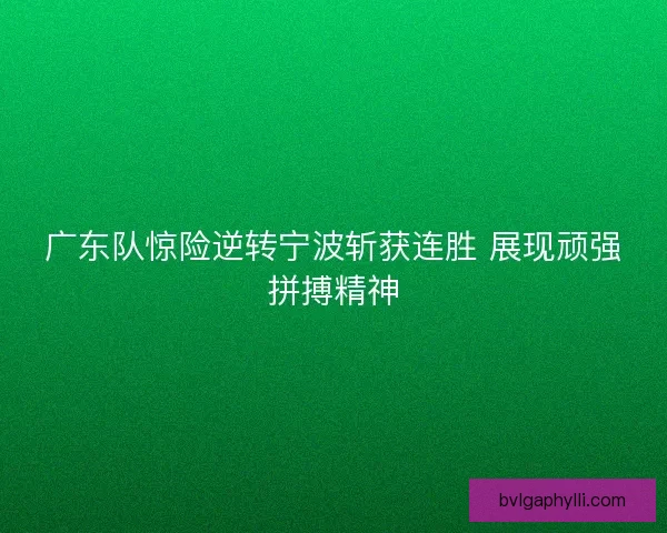 广东队惊险逆转宁波斩获连胜 展现顽强拼搏精神